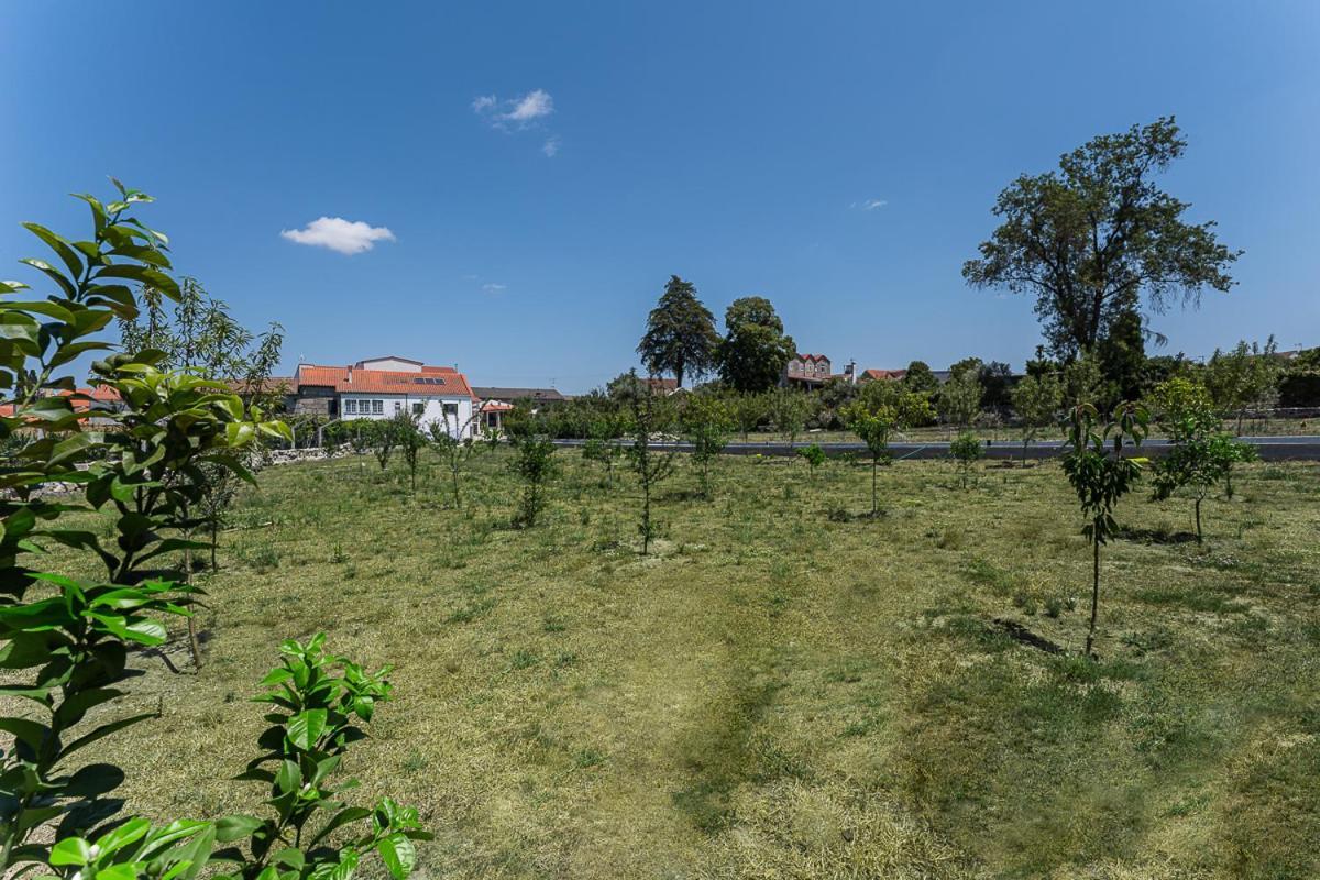 Villa Sevenfarm à Mangualde Extérieur photo